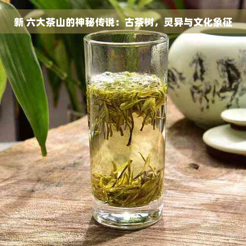 新 六大茶山的神秘传说：古茶树，灵异与文化象征