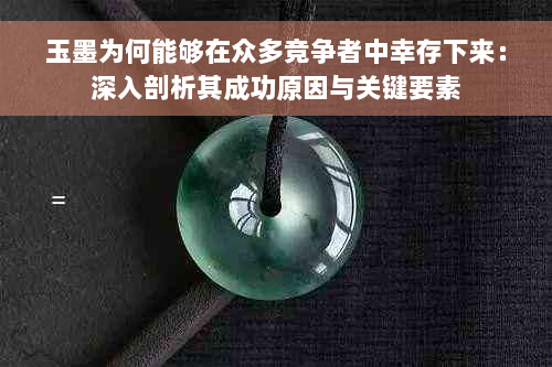 玉墨为何能够在众多竞争者中幸存下来：深入剖析其成功原因与关键要素