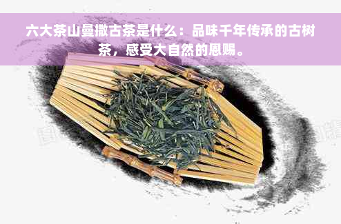 六大茶山曼撒古茶是什么：品味千年传承的古树茶，感受大自然的恩赐。