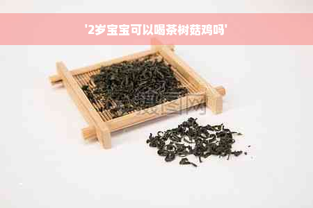 '2岁宝宝可以喝茶树菇鸡吗'