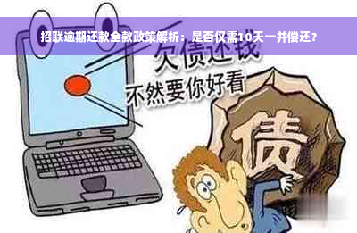 招联逾期还款全款政策解析：是否仅需10天一并偿还？