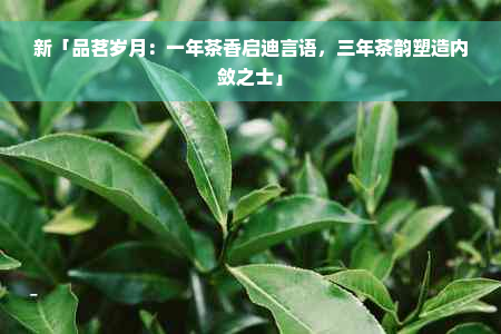 新「品茗岁月：一年茶香启迪言语，三年茶韵塑造内敛之士」