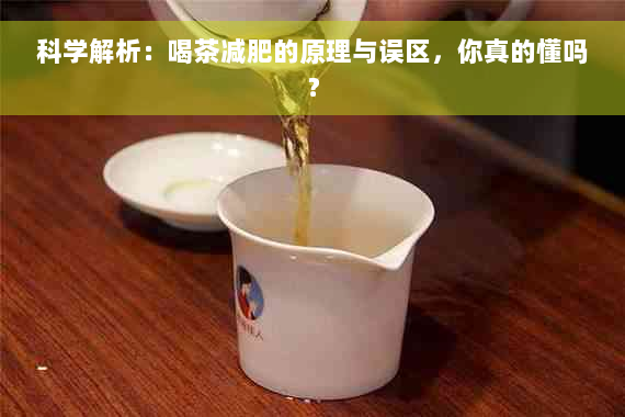 科学解析：喝茶减肥的原理与误区，你真的懂吗？