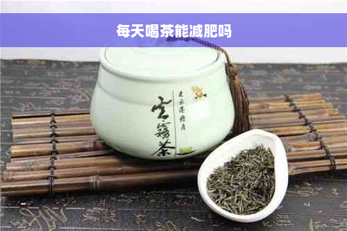 每天喝茶能减肥吗