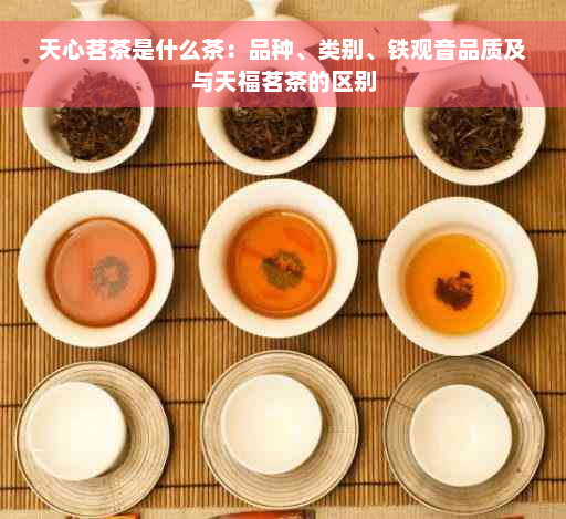 天心茗茶是什么茶：品种、类别、铁观音品质及与天福茗茶的区别