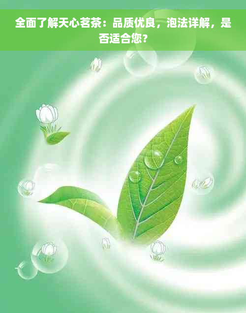 全面了解天心茗茶：品质优良，泡法详解，是否适合您？