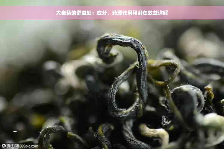 大麦茶的健益处：成分、药理作用和潜在效益详解