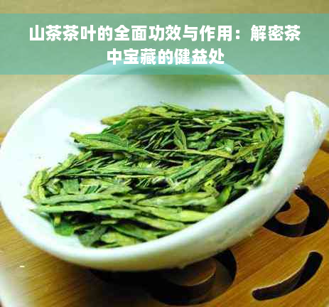 山茶茶叶的全面功效与作用：解密茶中宝藏的健益处