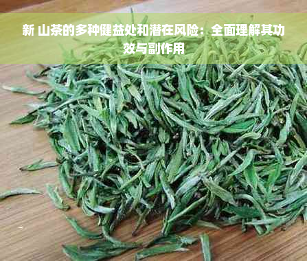 新 山茶的多种健益处和潜在风险：全面理解其功效与副作用