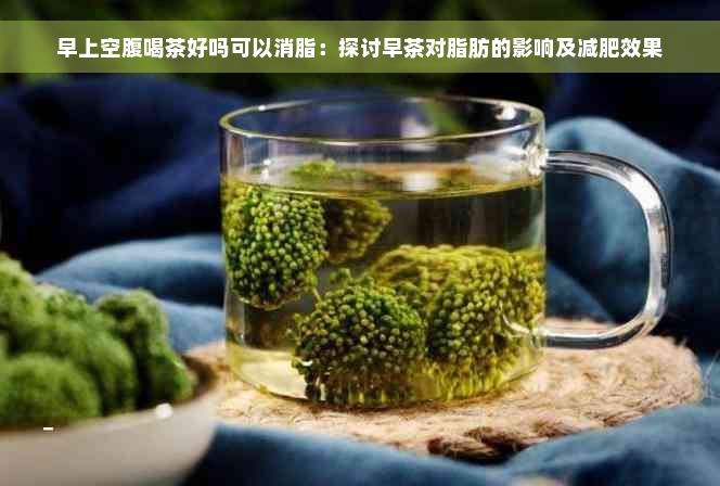 早上空腹喝茶好吗可以消脂：探讨早茶对脂肪的影响及减肥效果