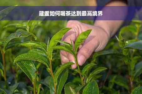 建盏如何喝茶达到更高境界