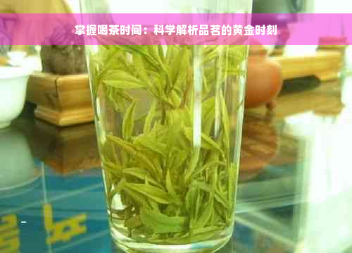 掌握喝茶时间：科学解析品茗的黄金时刻