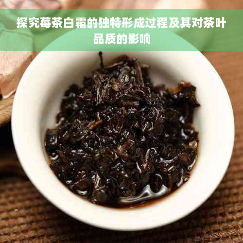 探究莓茶白霜的独特形成过程及其对茶叶品质的影响