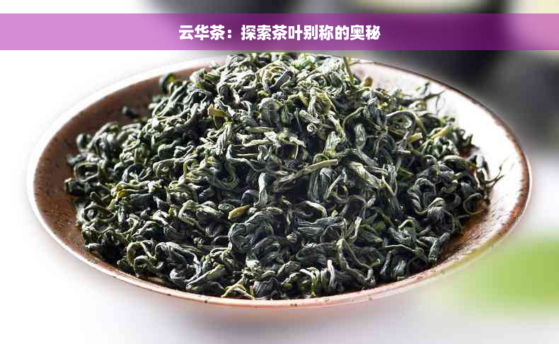 云华茶：探索茶叶别称的奥秘