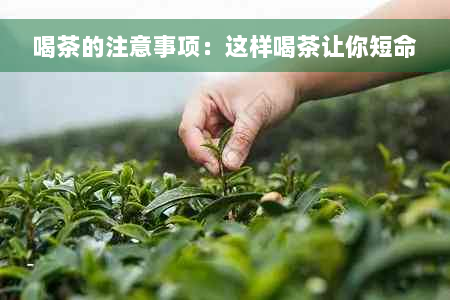 喝茶的注意事项：这样喝茶让你短命