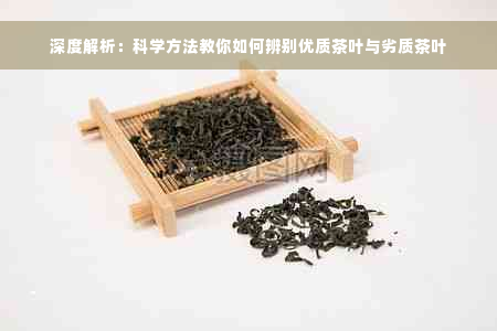 深度解析：科学方法教你如何辨别优质茶叶与劣质茶叶