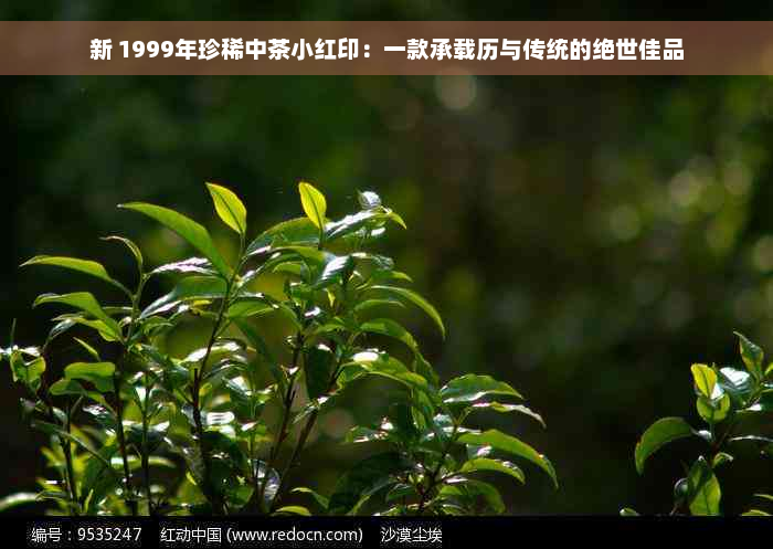 新 1999年珍稀中茶小红印：一款承载历与传统的绝世佳品