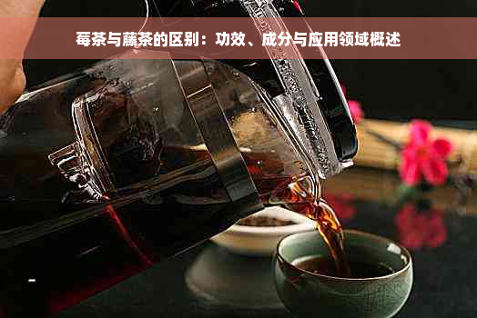 莓茶与藤茶的区别：功效、成分与应用领域概述