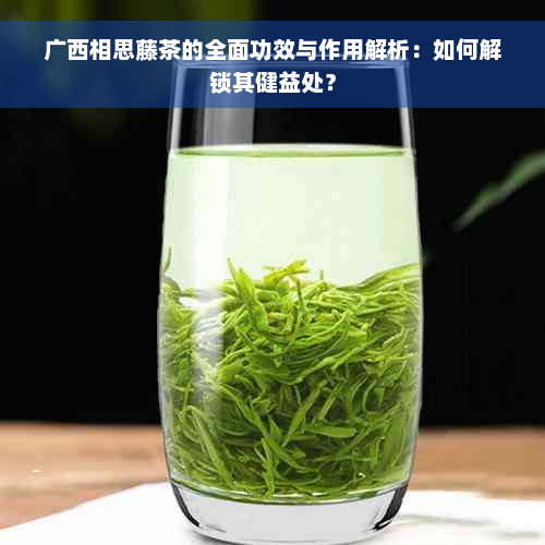 广西相思藤茶的全面功效与作用解析：如何解锁其健益处？