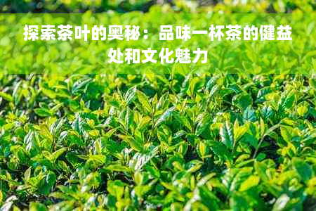 探索茶叶的奥秘：品味一杯茶的健益处和文化魅力