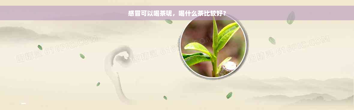 感冒可以喝茶呢，喝什么茶比较好？