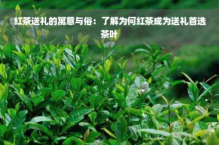 红茶送礼的寓意与俗：了解为何红茶成为送礼首选茶叶