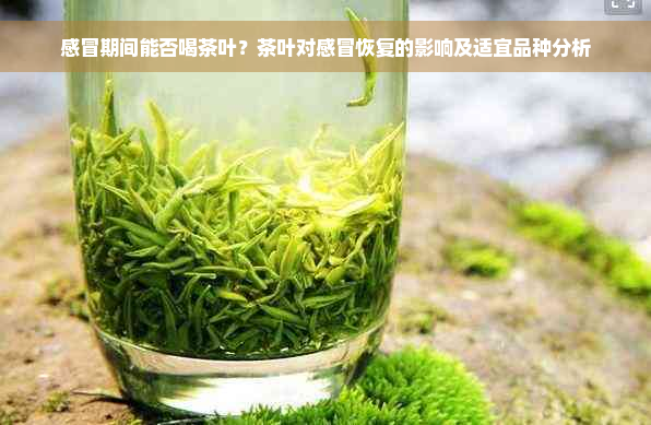 感冒期间能否喝茶叶？茶叶对感冒恢复的影响及适宜品种分析