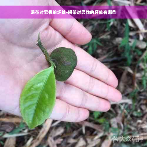 喝茶对男性的坏处-喝茶对男性的坏处有哪些