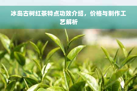 冰岛古树红茶特点功效介绍，价格与制作工艺解析