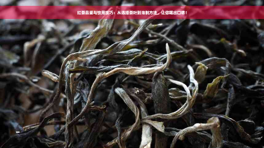 红茶品鉴与饮用技巧：从选择茶叶到泡制方法，让你喝出口感！