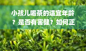 小孩儿喝茶的适宜年龄？是否有害健？如何正确引导孩子饮茶？