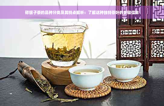 碎银子茶的品种分类及其特点解析：了解这种独特茶叶的关键信息