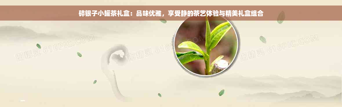 碎银子小罐茶礼盒：品味优雅，享受静的茶艺体验与精美礼盒组合