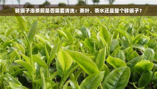 碎银子泡茶前是否需要清洗：茶叶、茶水还是整个碎银子？