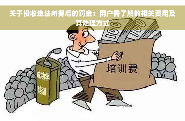 关于没收违法所得后的罚金：用户需了解的相关费用及其处理方式