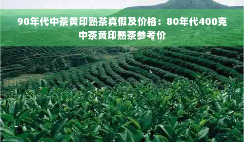 90年代中茶黄印熟茶真假及价格：80年代400克中茶黄印熟茶参考价