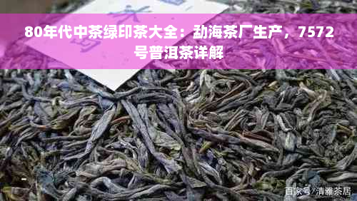 80年代中茶绿印茶大全：勐海茶厂生产，7572号普洱茶详解