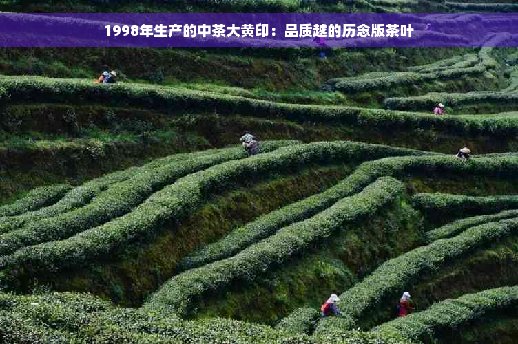 1998年生产的中茶大黄印：品质越的历念版茶叶