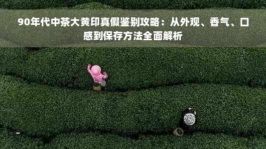 90年代中茶大黄印真假鉴别攻略：从外观、香气、口感到保存方法全面解析