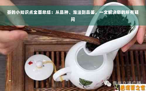 茶的小知识点全面总结：从品种、泡法到品鉴，一文解决您的所有疑问