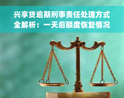 兴享贷逾期刑事责任处理方式全解析：一天后额度恢复情况一网打尽