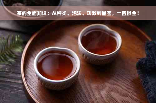 茶的全面知识：从种类、泡法、功效到品鉴，一应俱全！