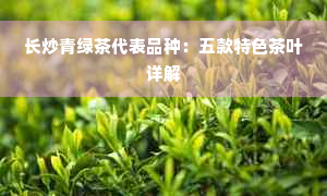 长炒青绿茶代表品种：五款特色茶叶详解