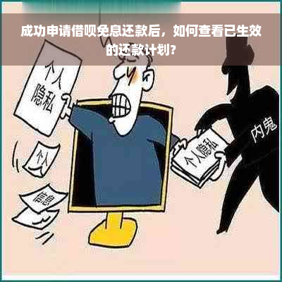 成功申请借呗免息还款后，如何查看已生效的还款计划？