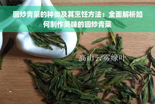 圆炒青菜的种类及其烹饪方法：全面解析如何制作美味的圆炒青菜