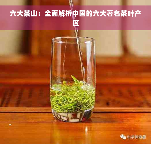 六大茶山：全面解析中国的六大著名茶叶产区