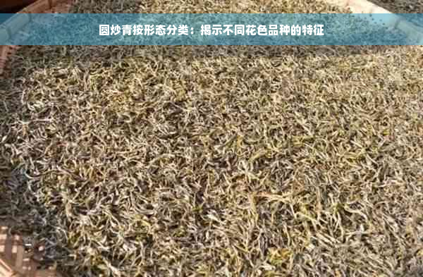 圆炒青按形态分类：揭示不同花色品种的特征