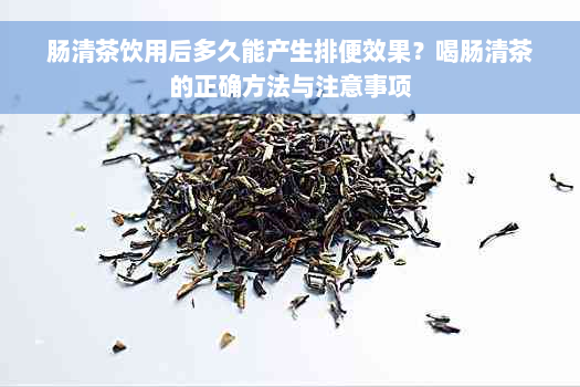 肠清茶饮用后多久能产生排便效果？喝肠清茶的正确方法与注意事项