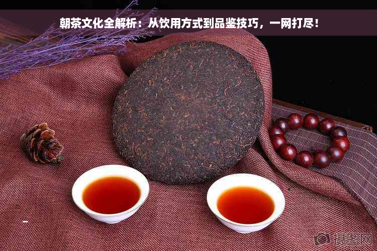 朝茶文化全解析：从饮用方式到品鉴技巧，一网打尽！