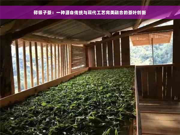 碎银子茶：一种源自传统与现代工艺完美融合的茶叶创新